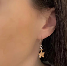 Load image into Gallery viewer, TWIN STAR EARRINGS, SILVER AND ROSE GOLD 30E3013SR
