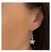 Load image into Gallery viewer, TWIN STAR EARRINGS 30E3013

